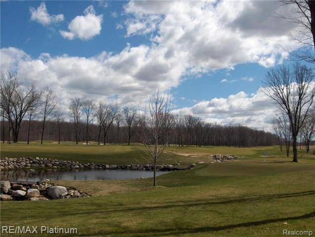 Tyrone Twp, MI 48430,LOT 35 PALMERS WAY