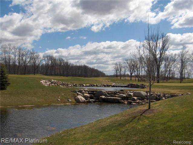 Tyrone Twp, MI 48430,LOT 35 PALMERS WAY