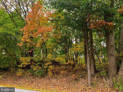 Felton, PA 17322,VACANT LOT E MAIN ST