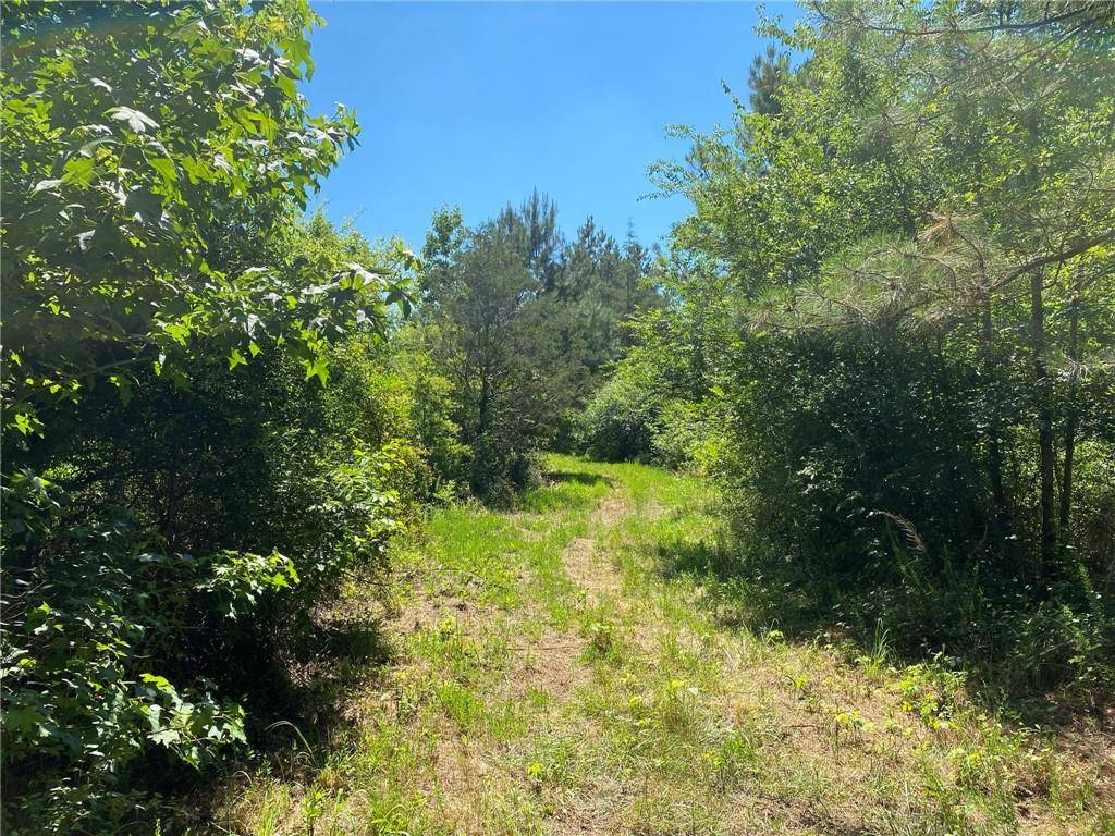 Kingston, GA 30145,006 Lowery Road