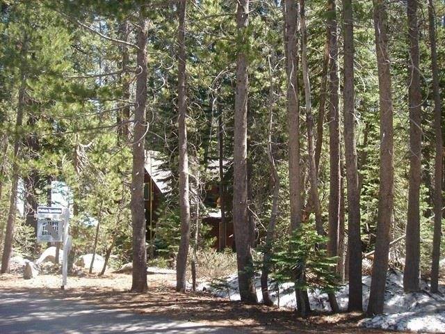 Soda Springs, CA 95728-0000,51682 Tamarack Crescent