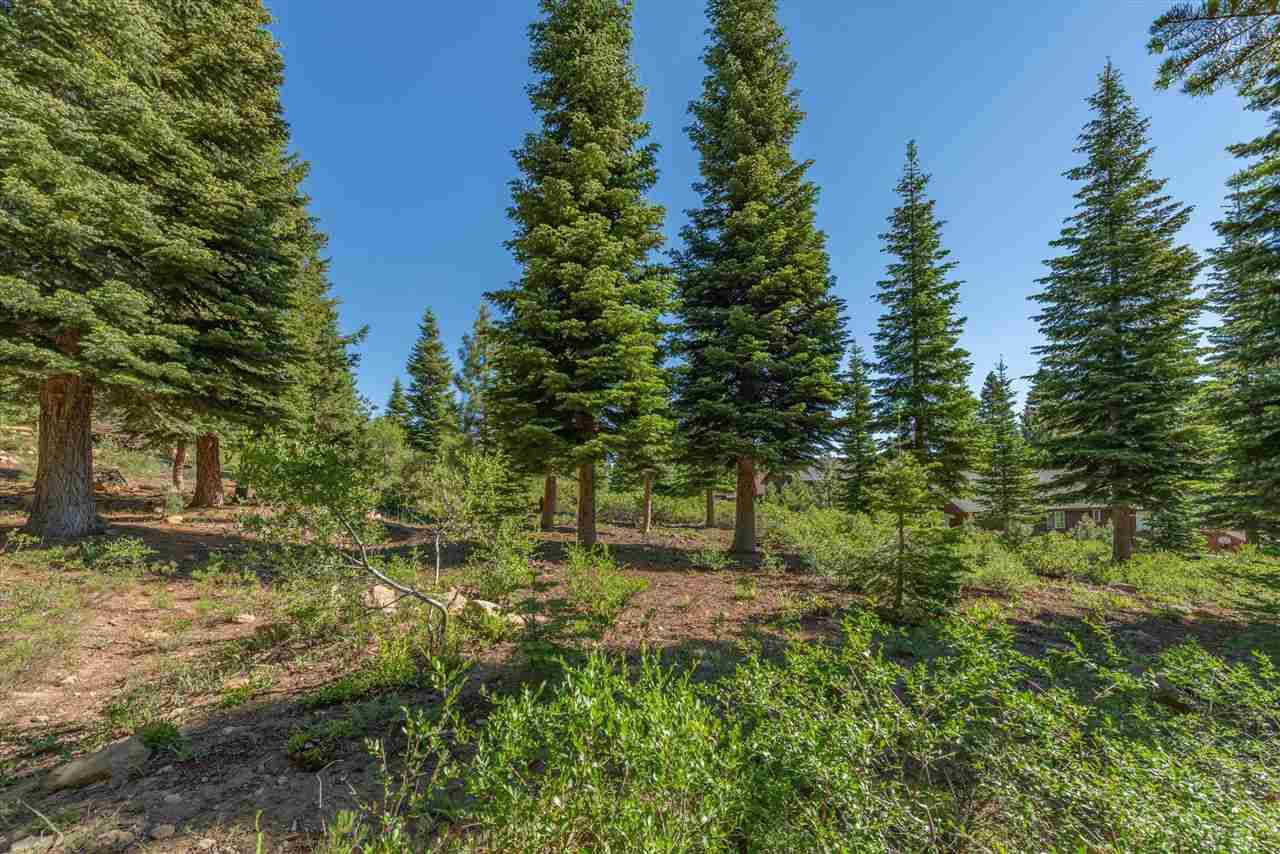 Truckee, CA 96161,14789 Northwoods Boulevard