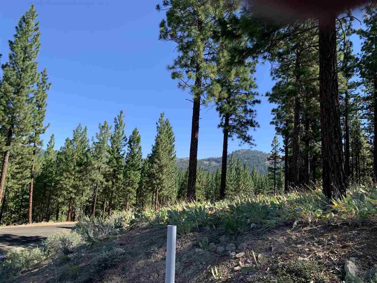 Portola, CA 96122,105 Whisker Brush Way