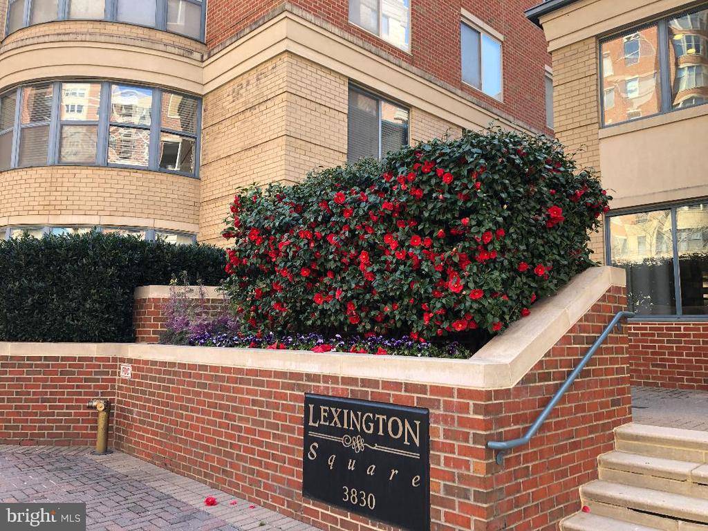 Arlington, VA 22203,3830 9TH ST N #407E