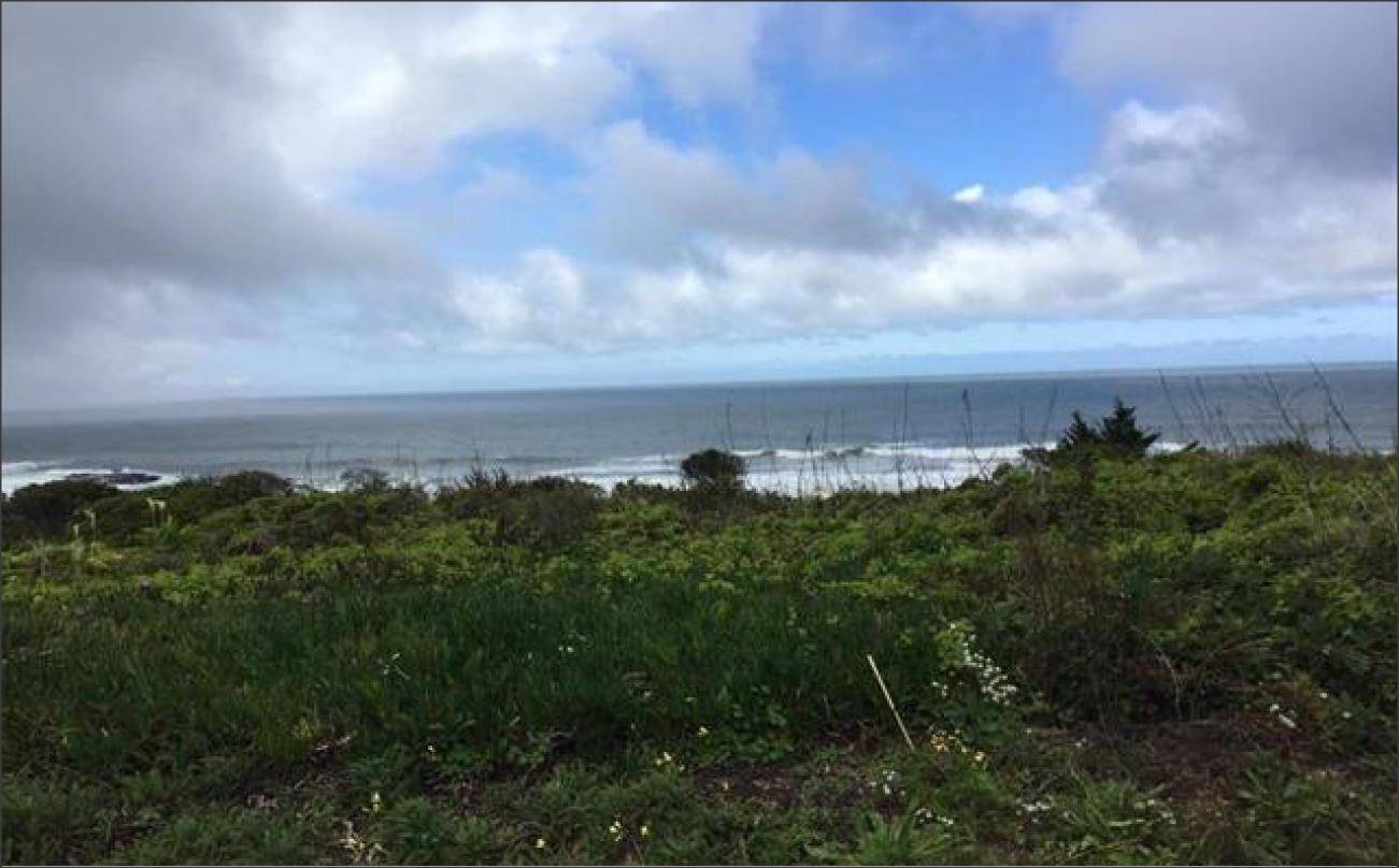 Moss Beach, CA 94038,000 Ocean BLVD