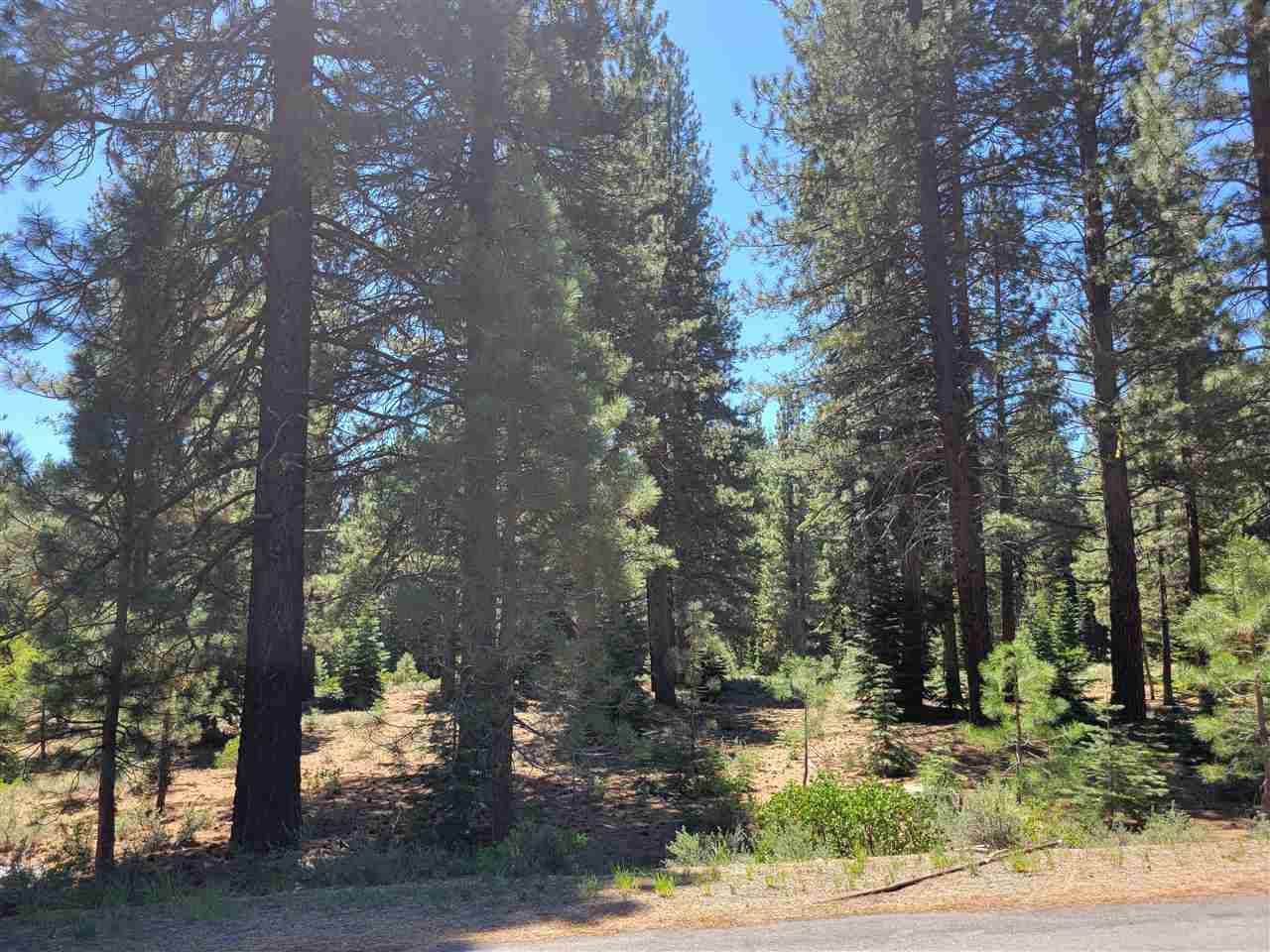 Truckee, CA 96161,12595 Granite Drive