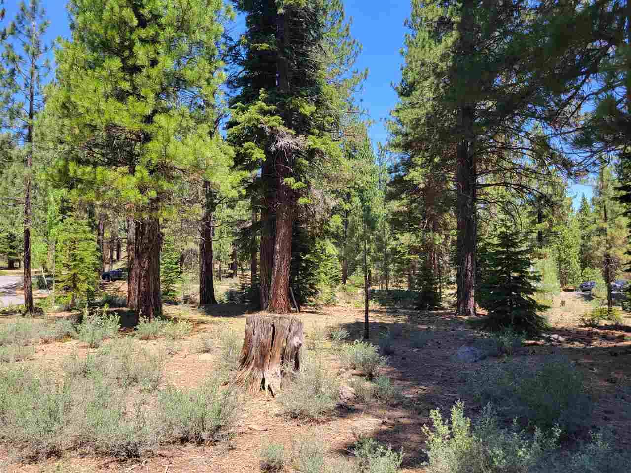 Truckee, CA 96161,12595 Granite Drive