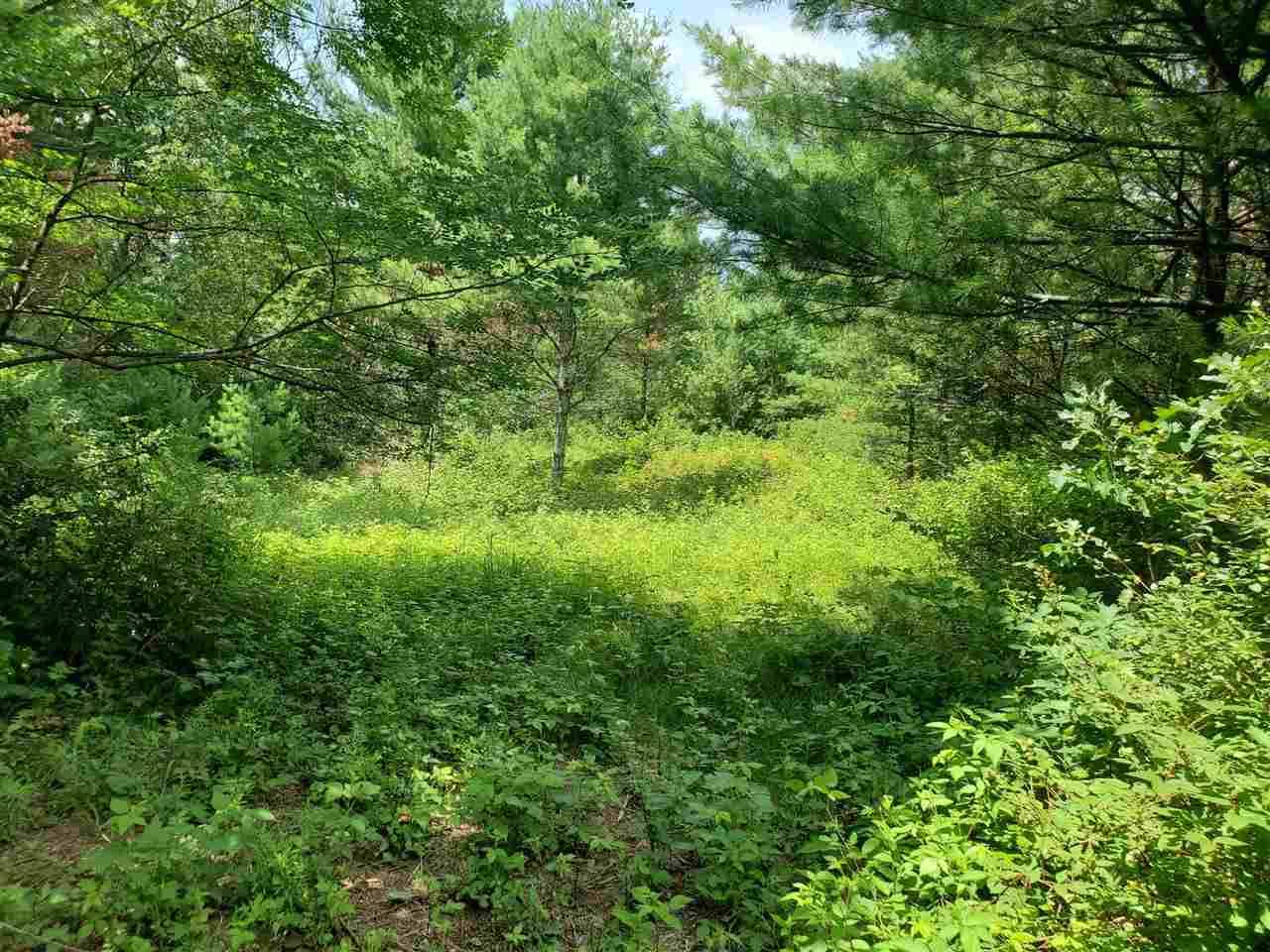 Friendship, WI 53934,Lot 37 19th Ct