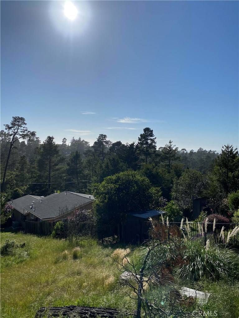 Cambria, CA 93428,0 Richard AVE