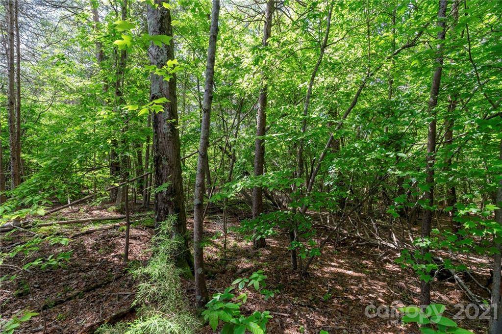 Clover, SC 29710,3432 Filbert Highway
