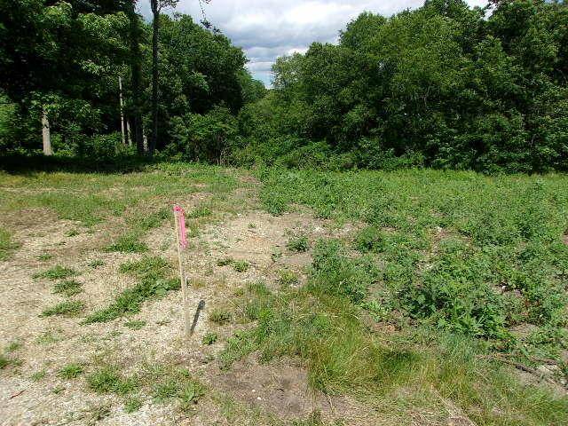 Middleville Vlg, MI 49333,Parcel # 3 116 Irving Road