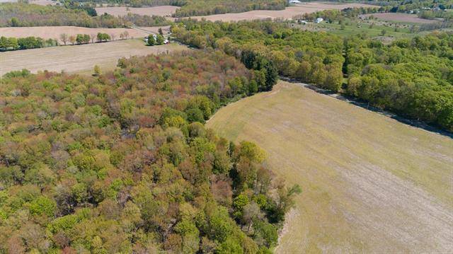 Prairie Ronde Twp, MI 49087,40 acres S 2nd Street