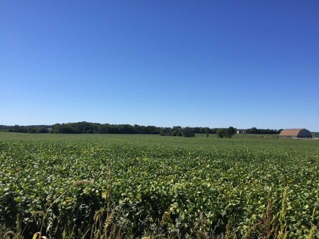 Verona, WI 53593,13.7 acres South Point Rd