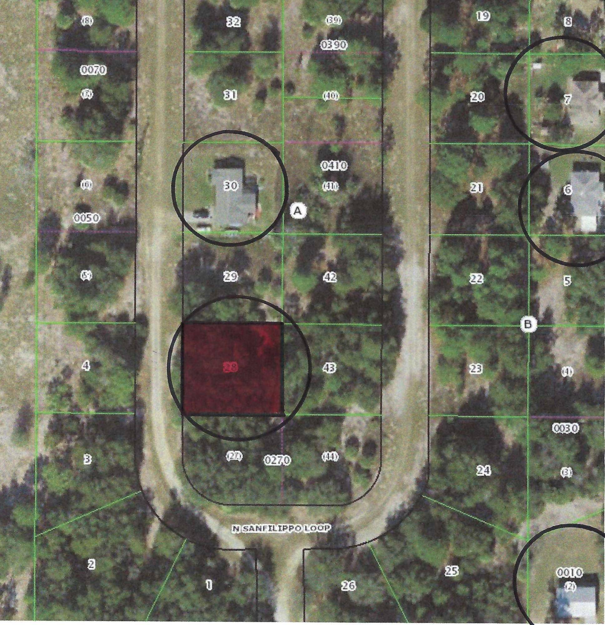 Crystal River, FL 34428,8584 N Sanfilippo LOOP