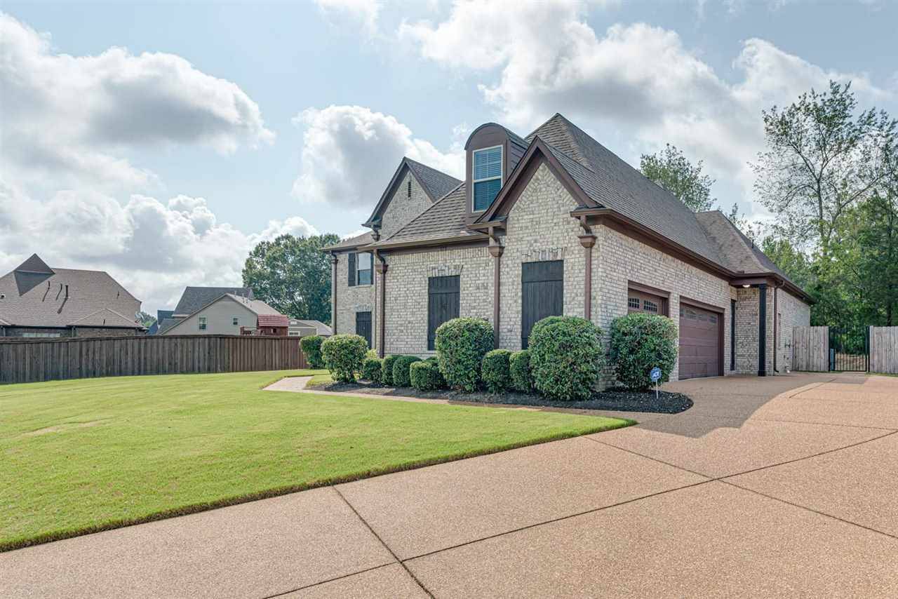 Collierville, TN 38017,175 AMBER WAVES LN