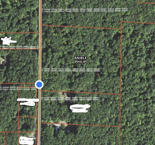 Eden Twp, MI 49644,9158 N Brooks Road