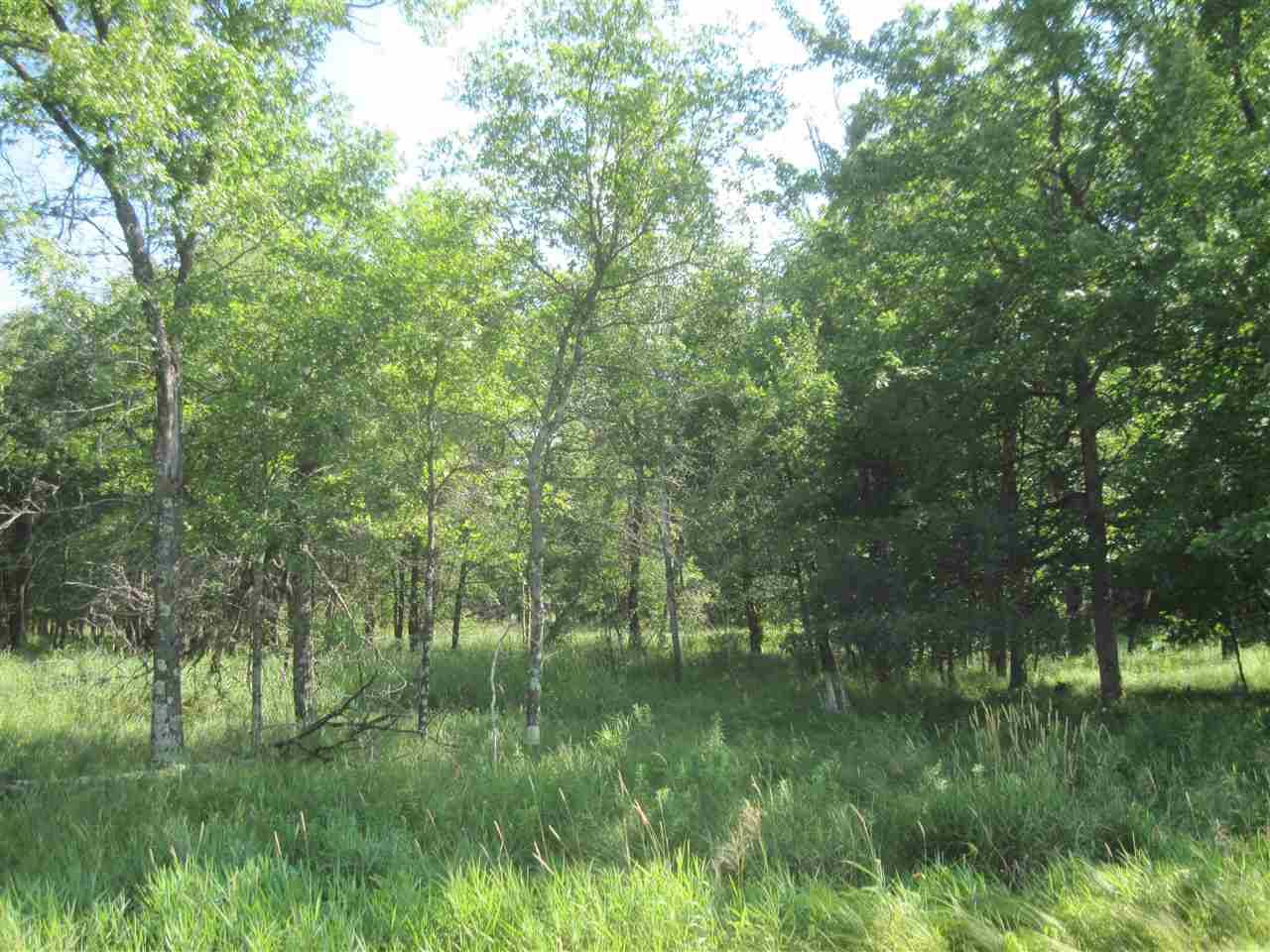 Hancock, WI 54943,39+ Acres County Road O