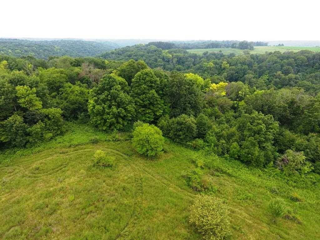 Blue River, WI 53518,83+/- ac W Ridge Rd