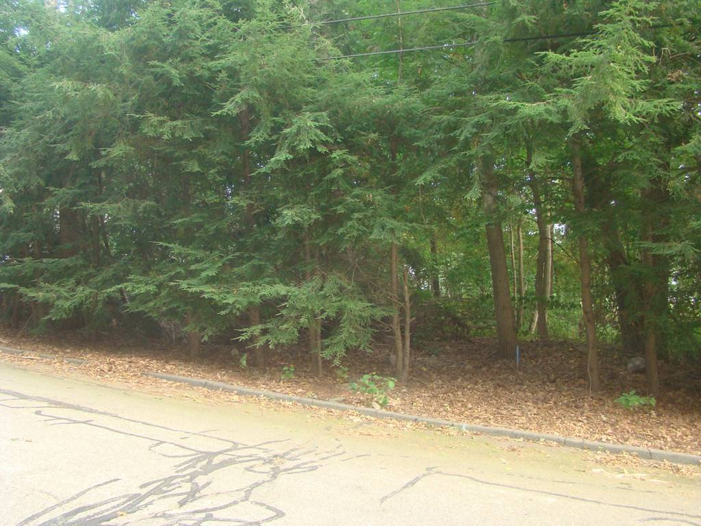 Seekonk, MA 02771,90 Sunset DR