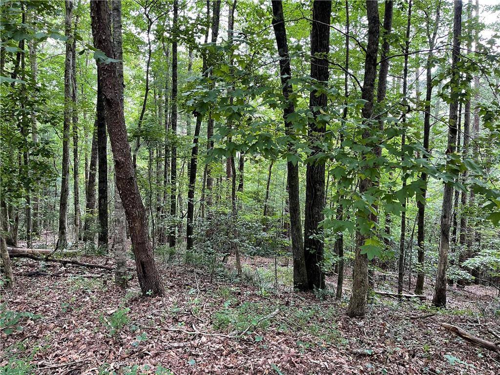 Dahlonega, GA 30533,NA Choctaw RDG N