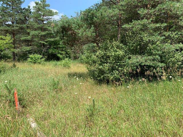 Logan Twp, MI 49402,Lot 18 Porter Road