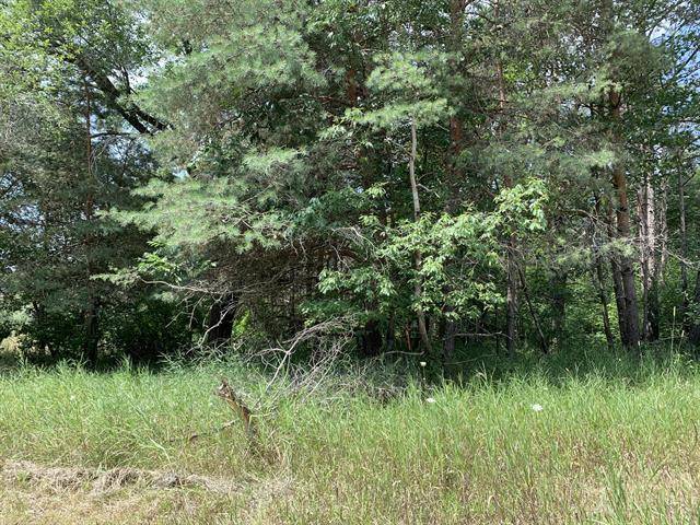 Logan Twp, MI 49402,Lot 18 Porter Road