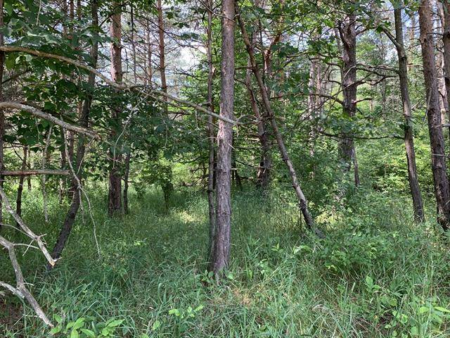 Logan Twp, MI 49402,Lot 18 Porter Road