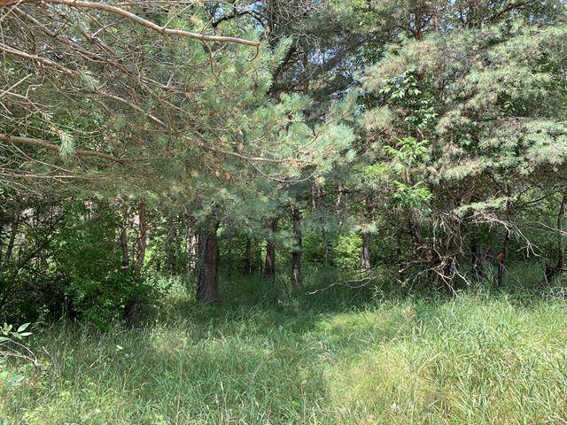 Logan Twp, MI 49402,Lot 18 Porter Road