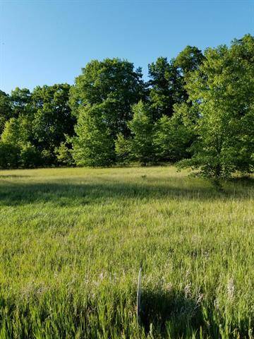 Leonidas Twp, MI 49072,Lot 21 Talon Drive