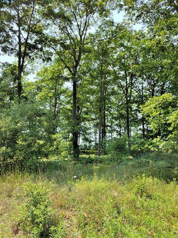 Onekama Twp, MI 49675,Ceylon Drive Lot 13