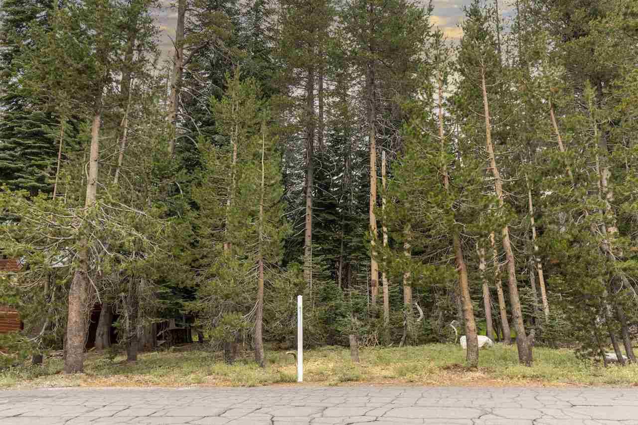 Soda Springs, CA 95728,4143 Westshore Drive
