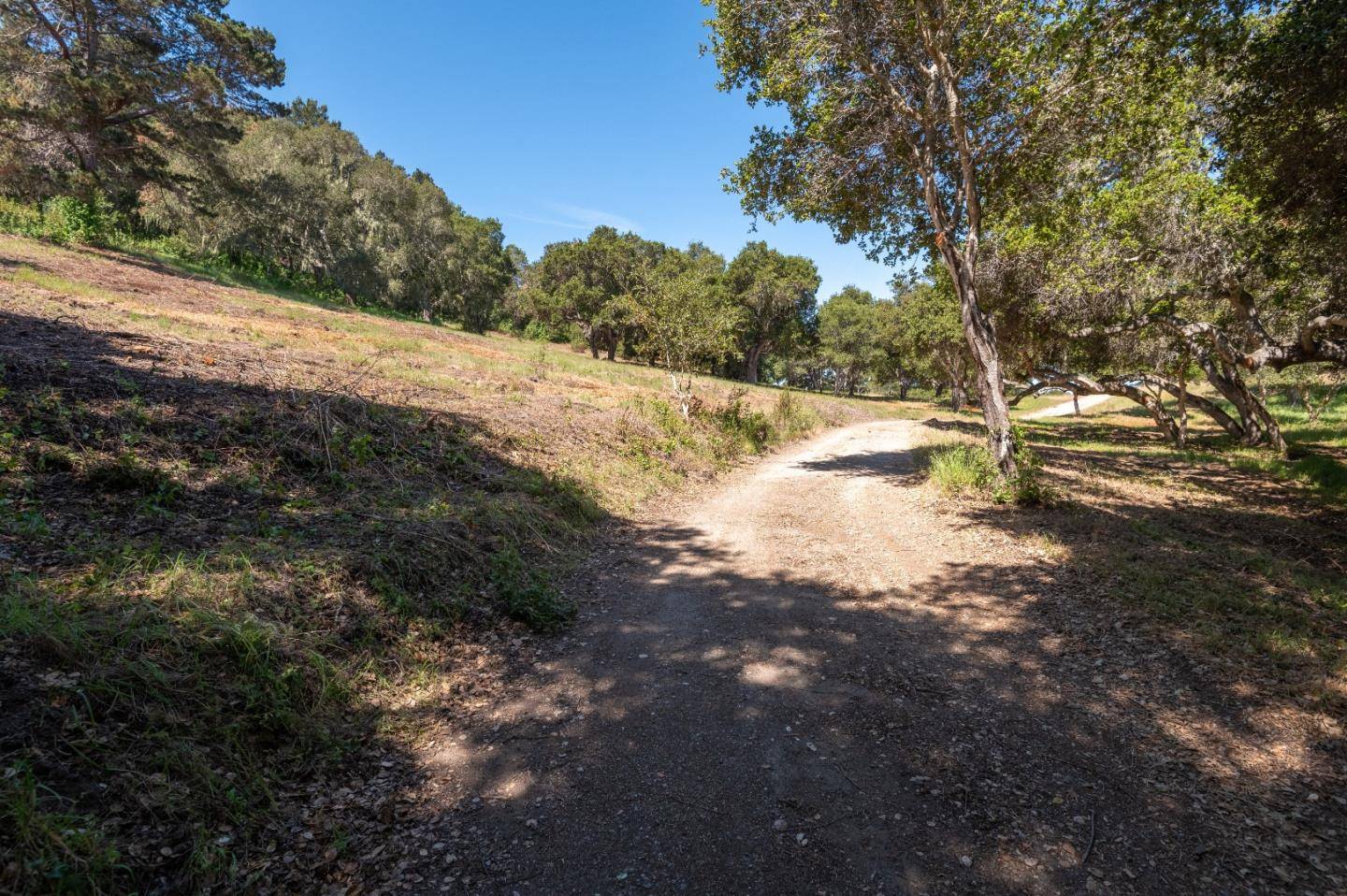Monterey, CA 93940,0 Monterra Ranch (Lot 1)