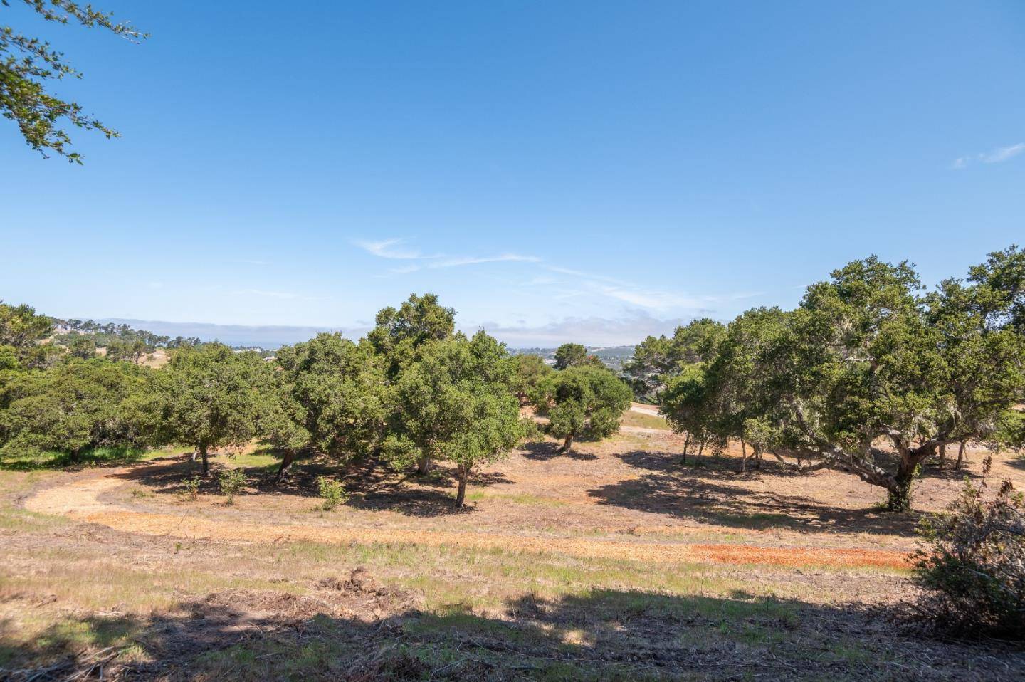 Monterey, CA 93940,0 Monterra Ranch (Lot 1)