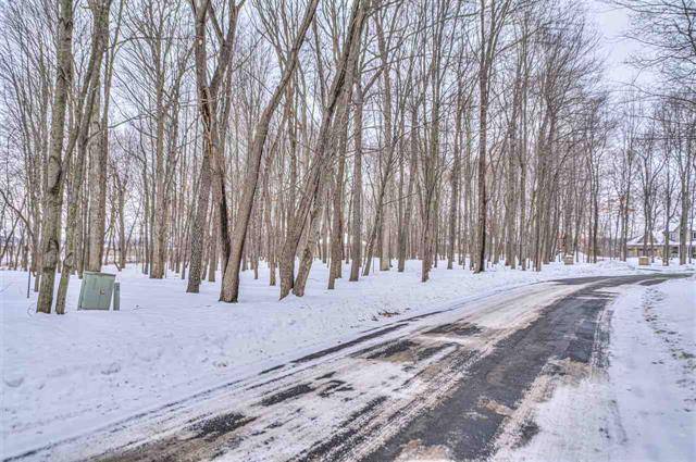 Napoleon Twp, MI 49201,Lot 17 PENINSULA DR