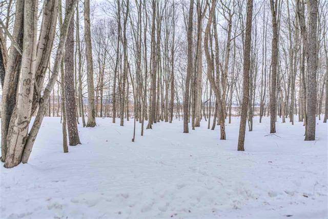 Napoleon Twp, MI 49201,Lot 17 PENINSULA DR