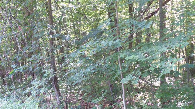 Somerset Twp, MI 49249,10030 WOODLAWN CT lot 222