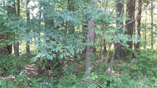 Somerset Twp, MI 49249,10030 WOODLAWN CT lot 222