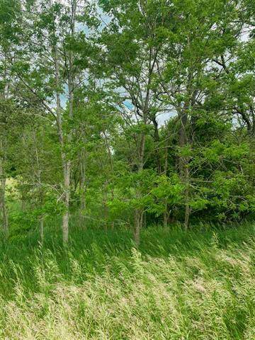 Napoleon Twp, MI 49201,lot 38 WHITE TAIL LN