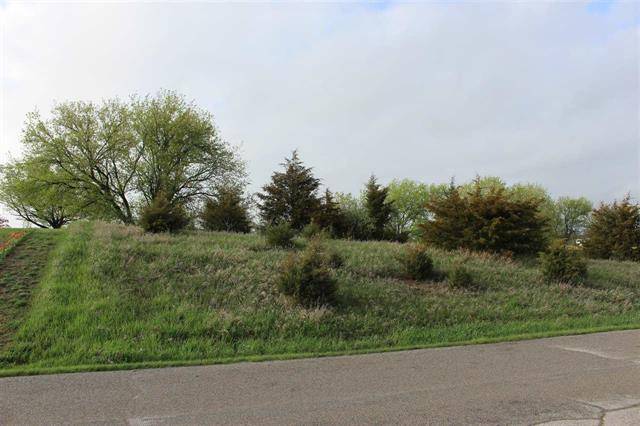 Woodstock Twp, MI 49233,Lot 70 TOMPKINS DR