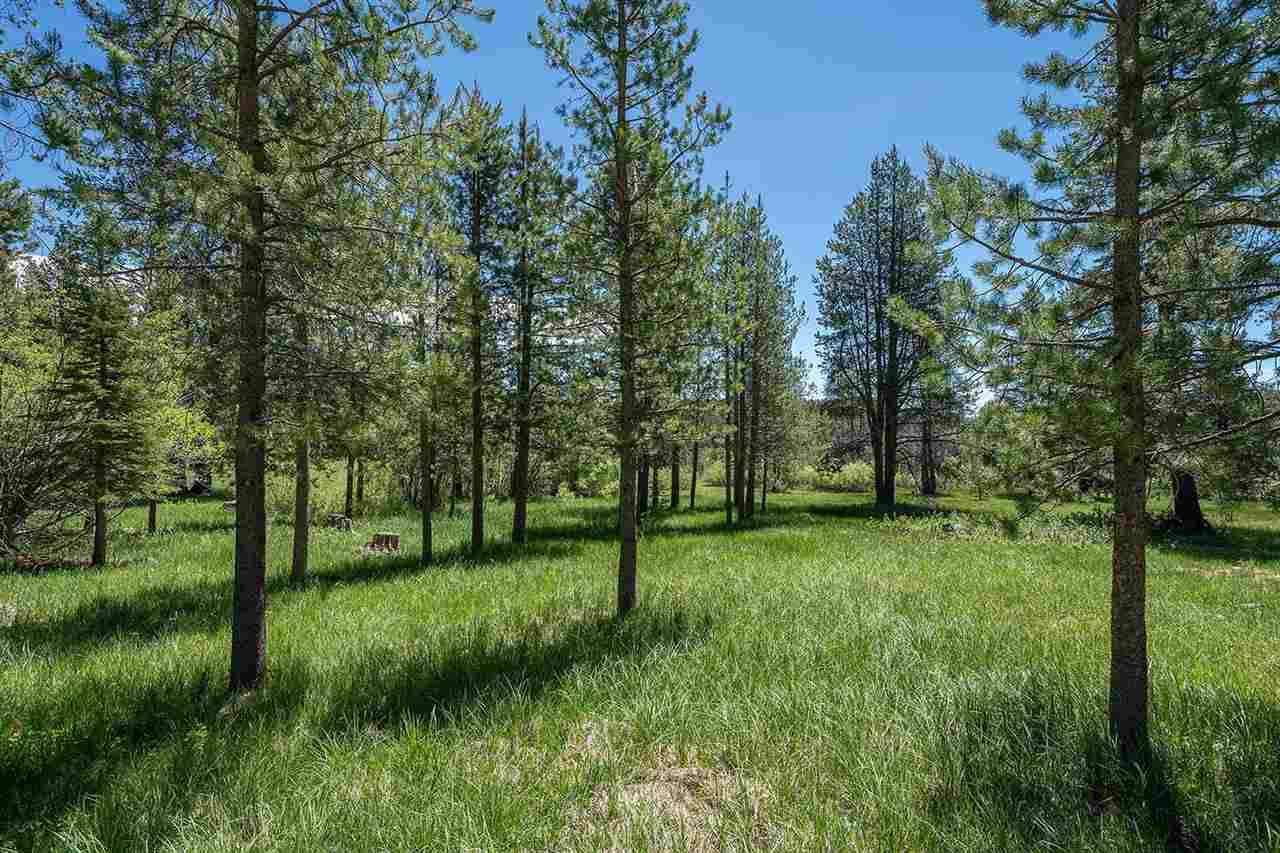 Truckee, CA 96161,12290 Lausanne Way