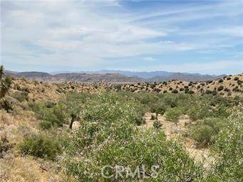 Pioneertown, CA 92268,3000 Tumbleweed/Bisbee