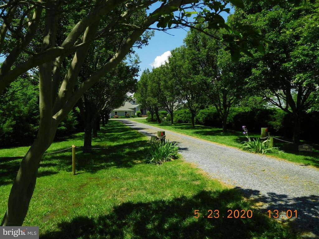 Tilghman, MD 21671,5586 LEEWARD LN