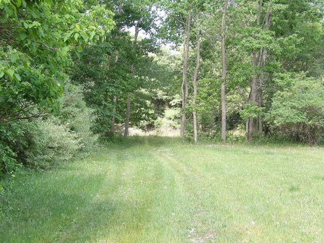 Laketon Twp, MI 49445,N Buys Road