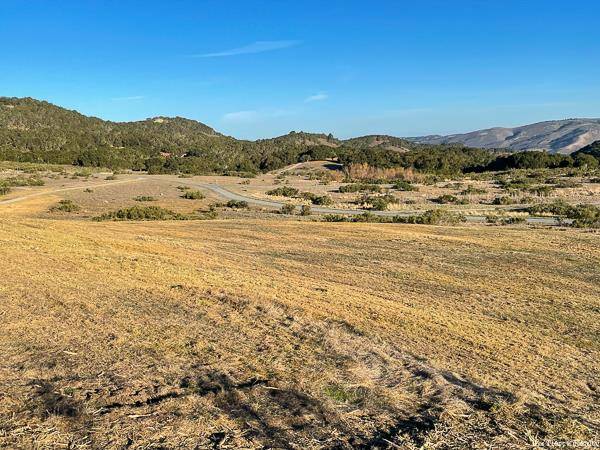 Carmel, CA 93923,12 Mesa Trail