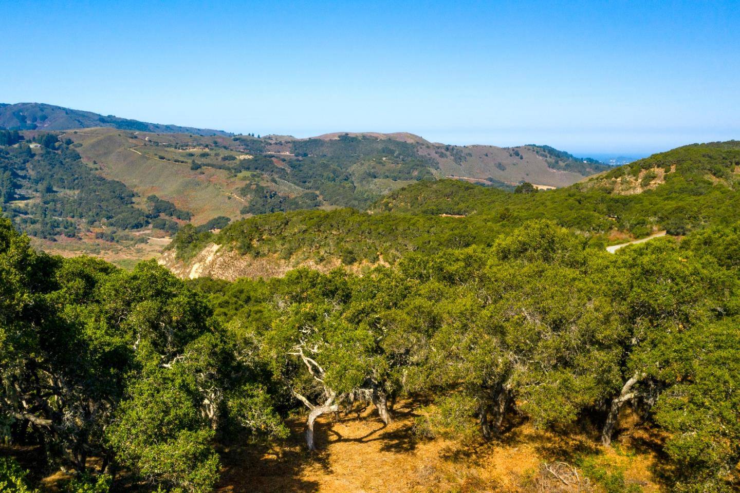 Carmel, CA 93923,2 Corral RUN