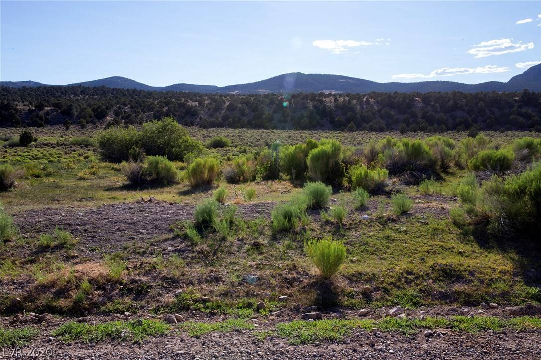 Ely, NV 89301,Duck Creek Development Road