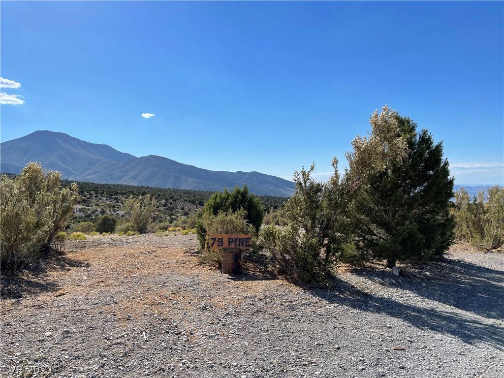 Cold Creek, NV 89124,79 Pine Road