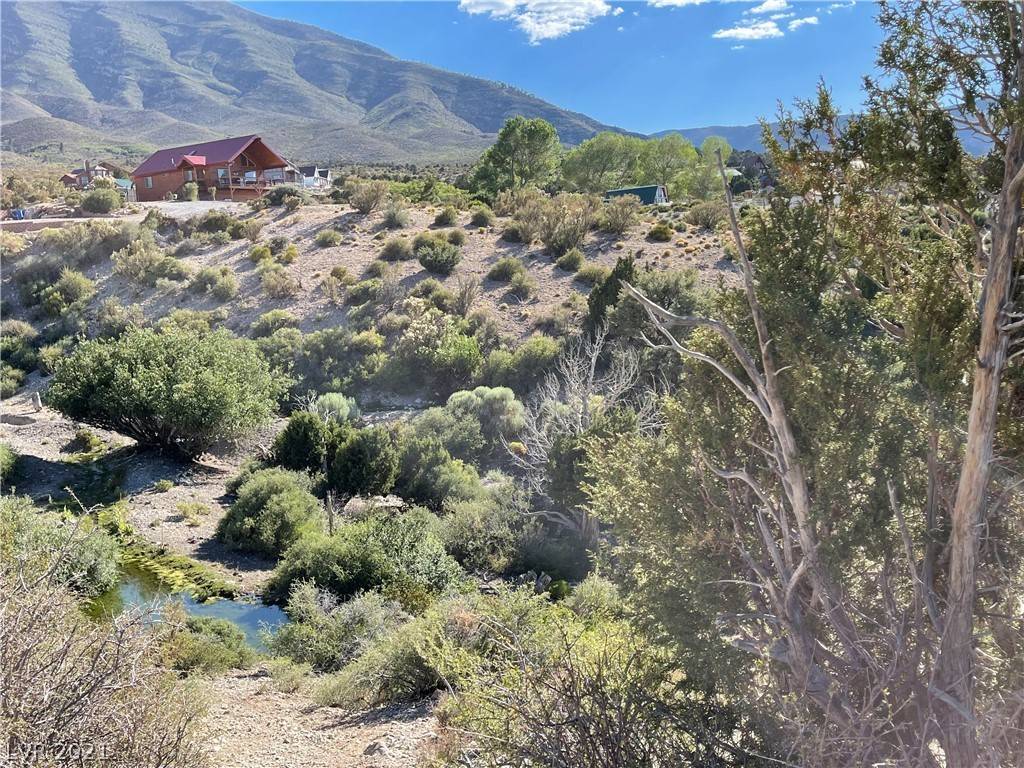 Cold Creek, NV 89124,79 Pine Road