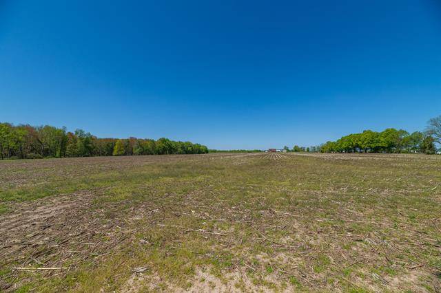 Prairie Ronde Twp, MI 49087,38 acre S 2nd Street