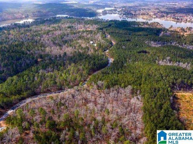 Sylacauga, AL 35151,SHORE SIDE LANE #Lot 211